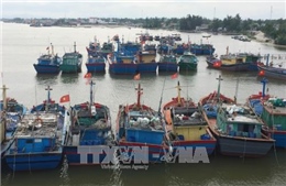 Ứng phó bão số 11: Thừa Thiên - Huế cấm tàu thuyền đánh bắt cá trên biển từ ngày 15/10