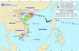 Bão số 11 tiến sát bờ biển Việt Nam, gió giật cấp 13