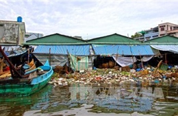 Cà Mau: Phạt nhiều doanh nghiệp chế biến thủy sản vi phạm môi trường và tài nguyên nước