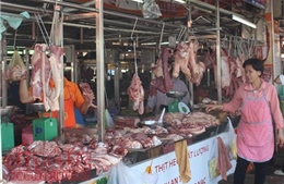 Lợn không đủ điều kiện truy xuất vẫn vào chợ đầu mối tại TP Hồ Chí Minh