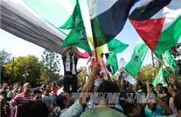 Liên đoàn Arab thúc đẩy triển khai thỏa thuận hòa giải Palestine 