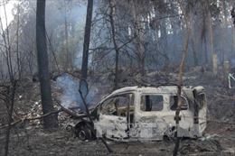 Thêm 36 người chết do cháy rừng tại Bồ Đào Nha và Tây Ban Nha