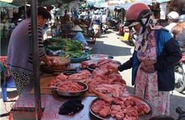 Gỡ vướng truy xuất nguồn gốc thịt lợn tại TP Hồ Chí Minh