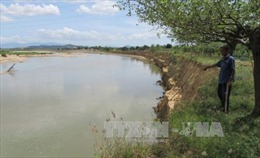 Ninh Thuận: Bờ sông Dinh sạt lở nghiêm trọng 