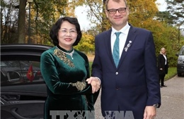 Phó Chủ tịch nước Đặng Thị Ngọc Thịnh thăm làm việc tại Phần Lan