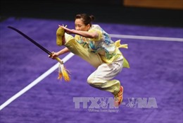 Khai mạc Giải Vô địch cúp Wushu quốc gia năm 2017