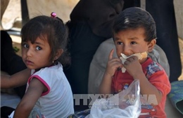 Syria: 270.000 người sơ tán từ Raqqa đang cần cứu trợ khẩn cấp 