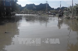 Hà Nội phòng chống dịch bệnh ở các vùng ngập úng 