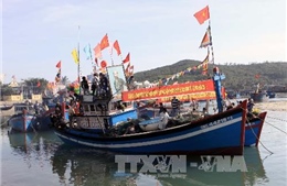 Nhiều tàu cá ở Quảng Ngãi chưa lắp thiết bị giám sát hành trình