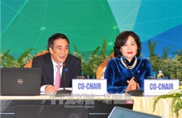 Hội nghị Thứ trưởng Tài chính và Phó Thống đốc Ngân hàng Trung ương APEC 