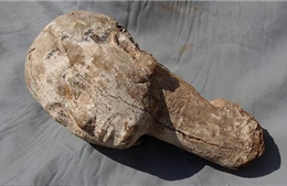 Phát hiện một tượng gỗ hình đầu người có niên đại 4.000 năm tại Ai Cập 