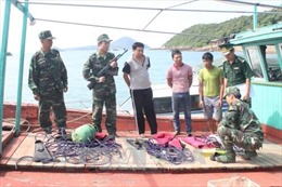 Quảng Ninh: Bắt giữ 3 tàu cá khai thác thủy sản trái phép