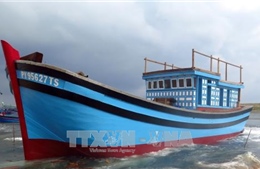 Lần đầu tiên Phú Yên tự đóng tàu cá vỏ gỗ công suất 650 CV 