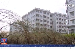 Nghịch lý 150 căn hộ tái định cư bị bỏ hoang tại Hà Nội