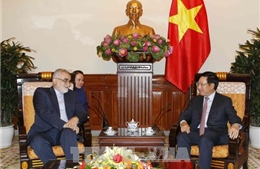 Việt Nam - Iran sớm đưa kim ngạch song phương đạt mức 2 tỷ USD