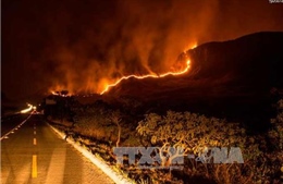 Cháy suốt 8 ngày, 54.000 ha rừng bảo tồn Brazil bị thiêu rụi