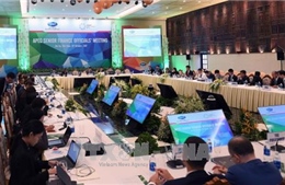APEC 2017: Chuyên gia khẳng định vai trò của Việt Nam trong dẫn dắt tương lai APEC 