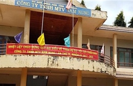 Đắk Nông: Khai trừ Đảng, cách chức Giám đốc Công ty TNHH MTV Nam Nung