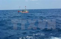 Bình Thuận khẩn trương tìm kiếm thuyền viên mất tích