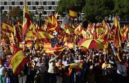 Tuần hành ủng hộ sự toàn vẹn lãnh thổ của Tây Ban Nha 
