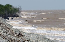 Các tỉnh ven biển từ Quảng Ninh đến Cà Mau chủ động ứng phó với gió mạnh, sóng lớn