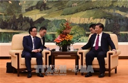 Tổng Bí thư Trung Quốc Tập Cận Bình tiếp Đặc phái viên của Tổng Bí thư Nguyễn Phú Trọng