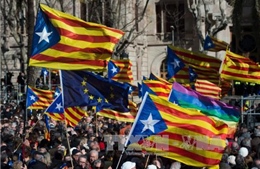 Tòa hiến pháp Tây Ban Nha đình chỉ tuyên bố độc lập của Catalonia