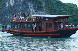 Quảng Ninh: Đình chỉ hoạt động các tàu du lịch không đảm bảo an toàn 