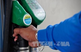 Giá dầu hồi phục giúp lợi nhuận của BP tăng khá 