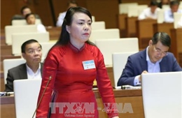 Bộ trưởng Y tế giải trình về dịch bệnh sốt xuất huyết, bảo hiểm y tế