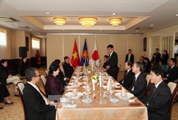 Ngoại trưởng Nhật Bản thảo luận với đại sứ các nước ASEAN về APEC 