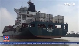 Hai tàu chở hàng đâm nhau trên sông Đồng Nai