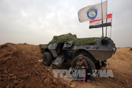 Người Kurd đề xuất triển khai lực lượng chung tại vùng biên giới Iraq-Thổ Nhĩ Kỳ