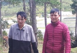 Lâm Đồng: Bắt quả tang hai đối tượng phá rừng phòng hộ đầu nguồn