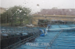  Bão số 12 đổ bộ vào Khánh Hòa, mưa rất to kèm gió giật cấp 15