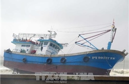 Hàng trăm tàu thuyền Phú Yên bị nhấn chìm, hư hại do ảnh hưởng bão số 12