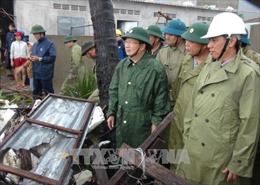 Phó Thủ tướng Trịnh Đình Dũng thị sát tình hình thiệt hại do bão tại Khánh Hòa, Phú Yên