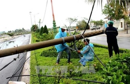  EVN đã khôi phục xong các đường dây 220 kV bị ảnh hưởng bão số 12