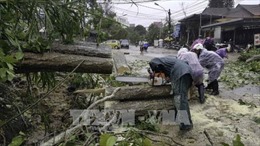 Ảnh hưởng của bão số 12: Các địa phương nỗ lực khắc phục thiệt hại do bão gây ra 