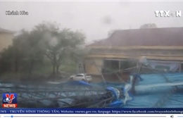 Khánh Hòa thiệt hại nặng vì bão số 12