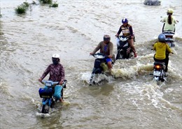 MTTQ Việt Nam hỗ trợ 3 tỷ đồng cho các tỉnh bị thiệt hại do bão số 12 