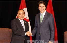 Thúc đẩy quan hệ Việt Nam - Canada phát triển thực chất và hiệu quả hơn 