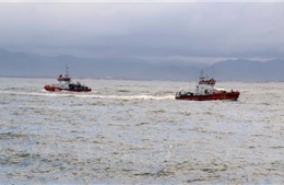 Tàu cá Quảng Bình bị hỏng máy, thả trôi trên biển