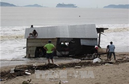 Khánh Hòa tìm thấy 12 thi thể trôi dạt trên biển sau bão số 12 