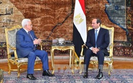 Ai Cập và Palestine tìm cách khôi phục tiến trình hòa bình Trung Đông 