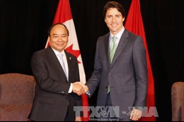 Khẳng định lòng tin và nâng tầm quan hệ Việt Nam- Canada