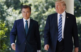 Đến Nhật Bản rồi Hàn Quốc, Tổng thống Trump đều mời mua vũ khí
