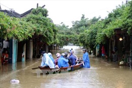 Người nuôi tôm Quảng Ngãi thiệt hại nặng do lũ