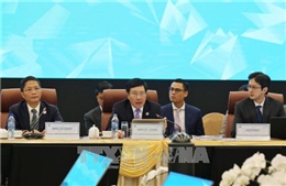 APEC 2017: Khai mạc Hội nghị lần thứ 29 liên Bộ trưởng Ngoại giao - Kinh tế APEC 