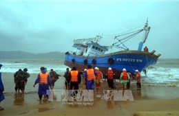 Thủ tướng gửi Thư khen Giám đốc Công ty Sơn Nam dũng cảm cứu người gặp nạn trên biển